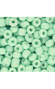 Seed beads 6/0 (4mm) Neo mint green